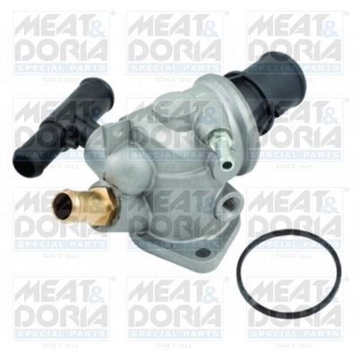 Thermostat, coolant